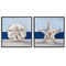 Stupell Industries Sea Life Starfish Seashell Painting Framed Giclee Art